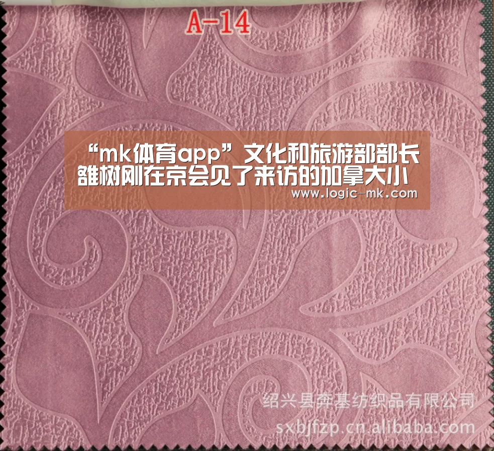 “mk体育app”文化和旅游部部长雒树刚在京会见了来访的加拿大小企业和旅游部长楚萱歌一行(图1) mk体育下载