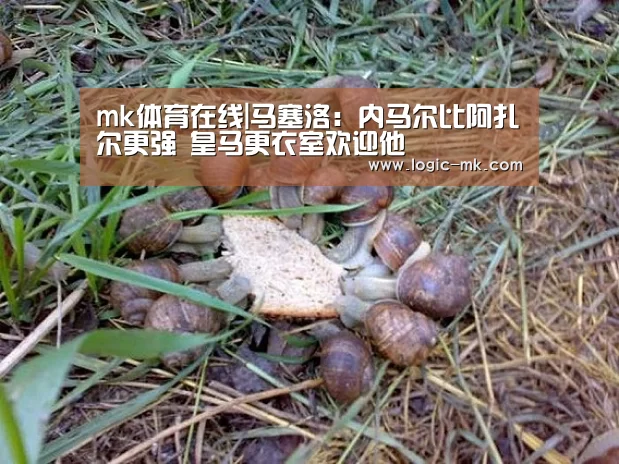 mk体育注册