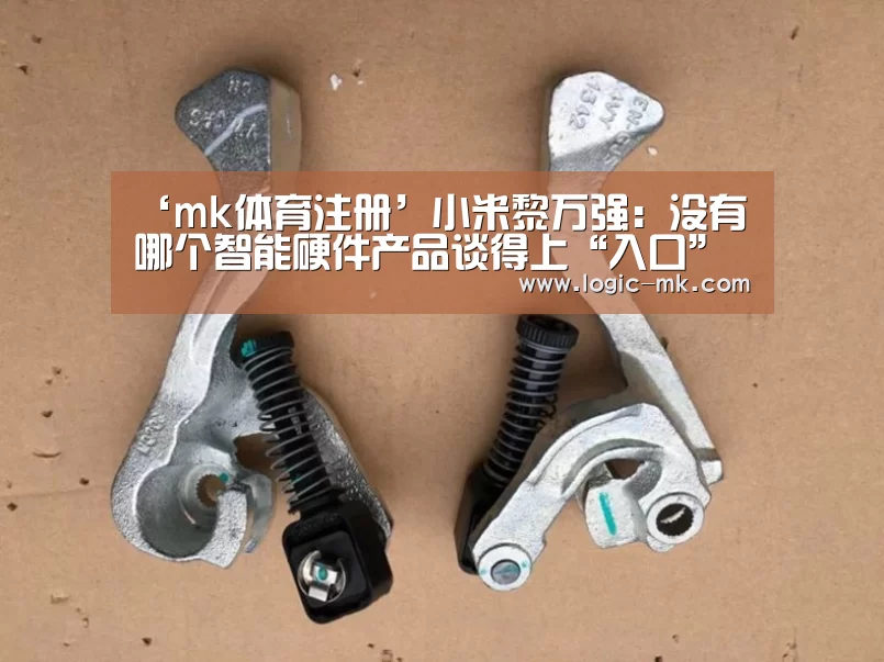 ‘mk体育注册’小米黎万强:没有哪个智能硬件产品谈得上“入口”(图3) mk体育注册