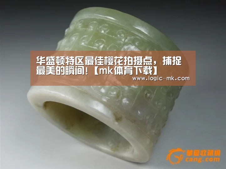 华盛顿特区最佳樱花拍摄点,捕捉最美的瞬间!【mk体育下载】(图1) mk体育在线