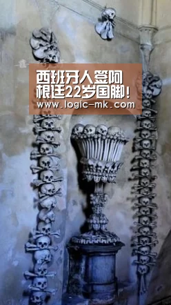 西班牙人签阿根廷22岁国脚!转会费1050万欧队史最贵_mk体育app(图1) mk体育在线