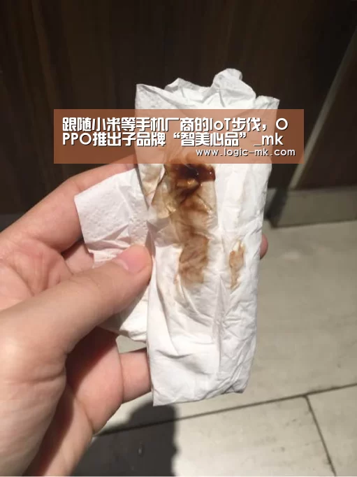 跟随小米等手机厂商的IoT步伐,OPPO推出子品牌“智美心品”_mk体育下载(图1) mk体育在线