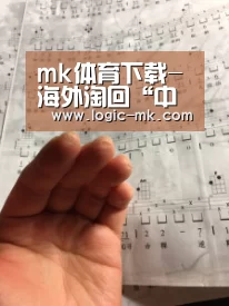mk体育下载-海外淘回“中国造”不只是崇洋媚外(图1) mk体育下载