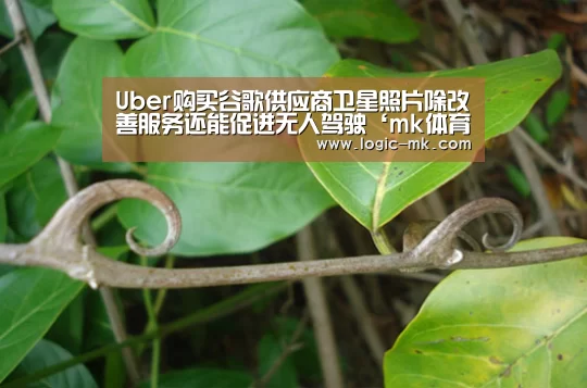Uber购买谷歌供应商卫星照片除改善服务还能促进无人驾驶‘mk体育app’(图1) mk体育在线