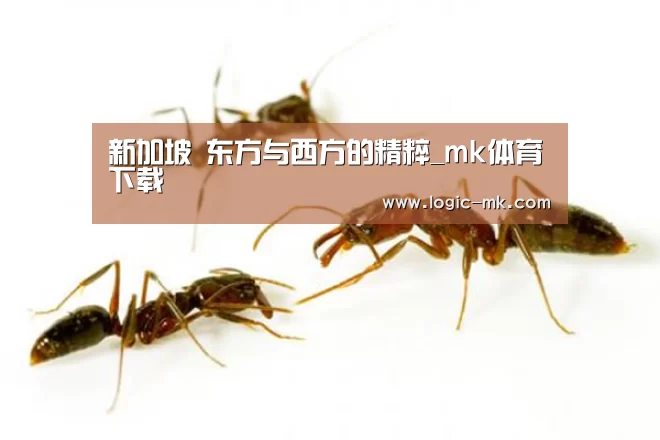 新加坡 东方与西方的精粹_mk体育下载(图2) mk体育注册
